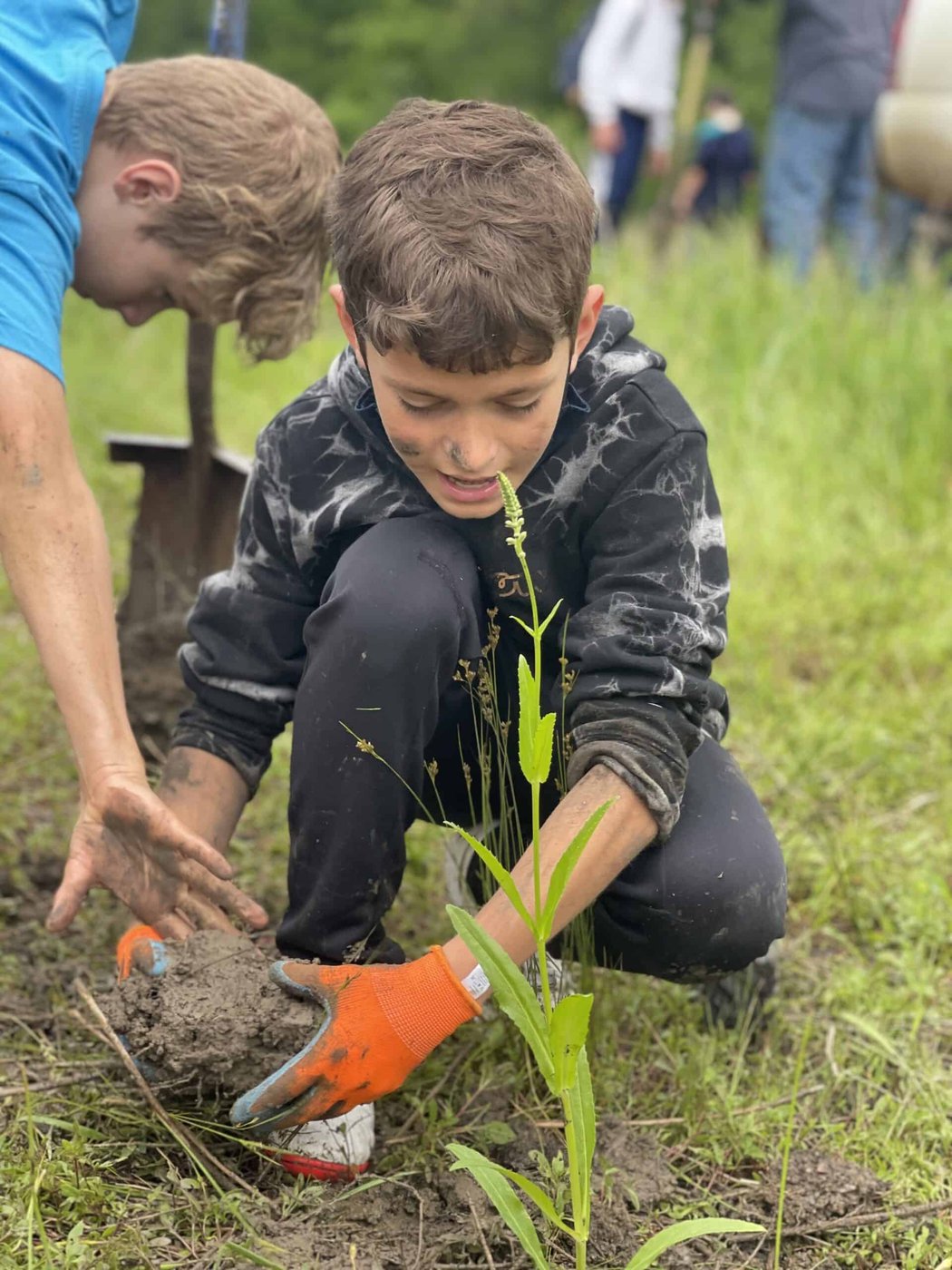 A Selwyn student in gardening gloves easing a young plant into the ground on campus